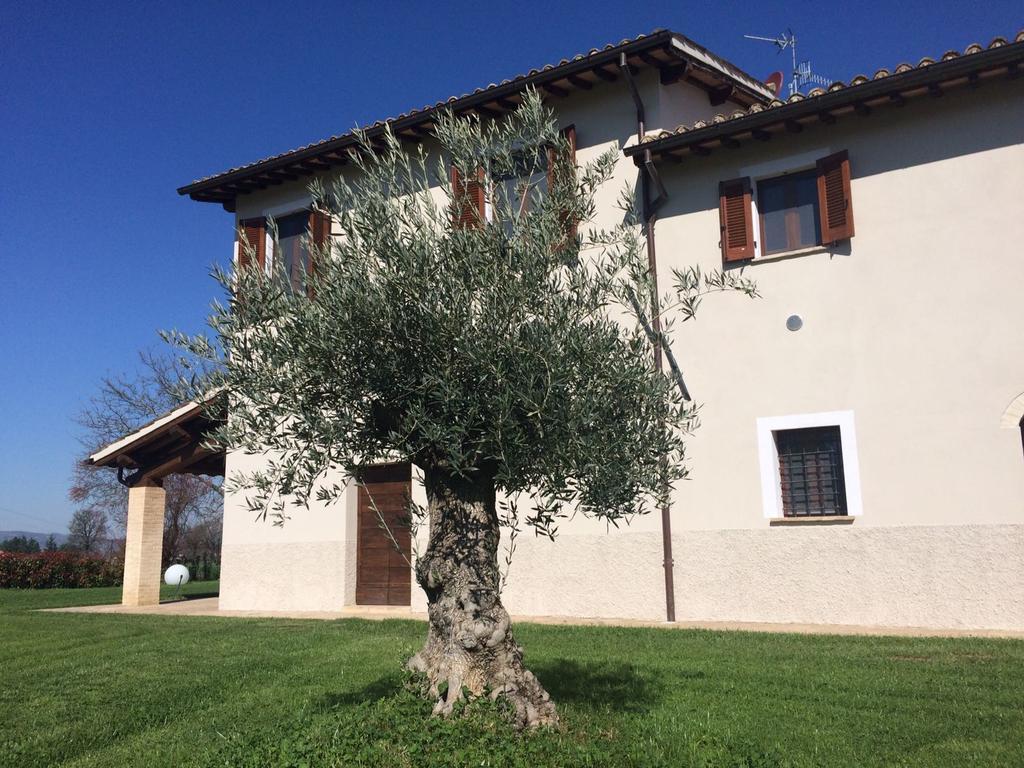 Podere Le Volte Degli Angeli Spello Exteriér fotografie