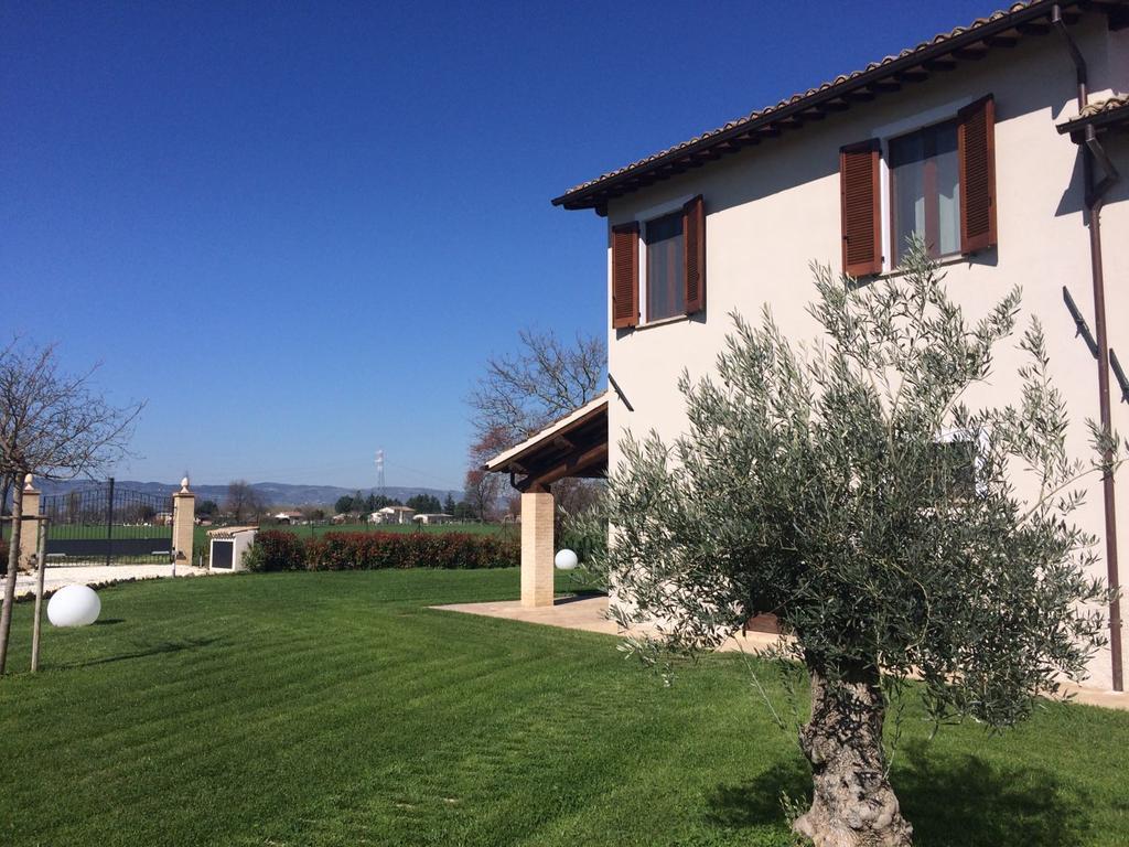 Podere Le Volte Degli Angeli Spello Exteriér fotografie