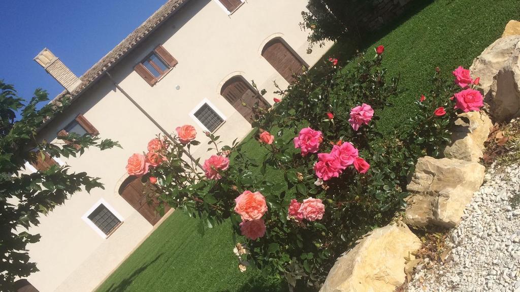 Podere Le Volte Degli Angeli Spello Exteriér fotografie
