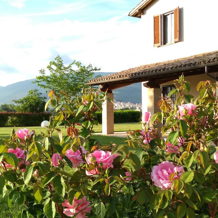 Podere Le Volte Degli Angeli Spello Exteriér fotografie